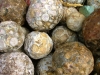 chiselled-semi-ready-spheres-of-spotted-jasper-2