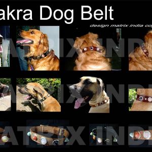 chakra-dog-belt